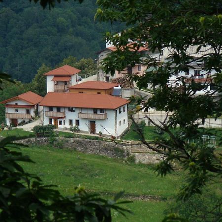 Apartmaji Nena Rocinj Kültér fotó