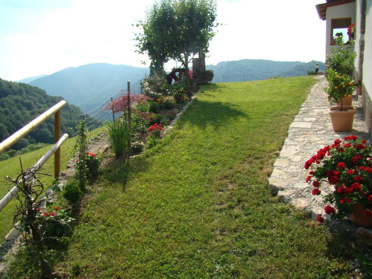 Apartmaji Nena Rocinj Kültér fotó