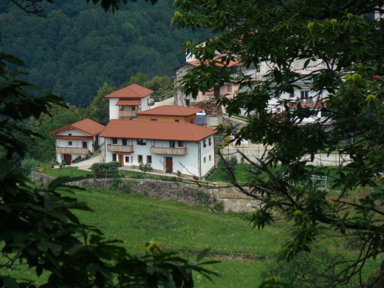 Apartmaji Nena Rocinj Kültér fotó
