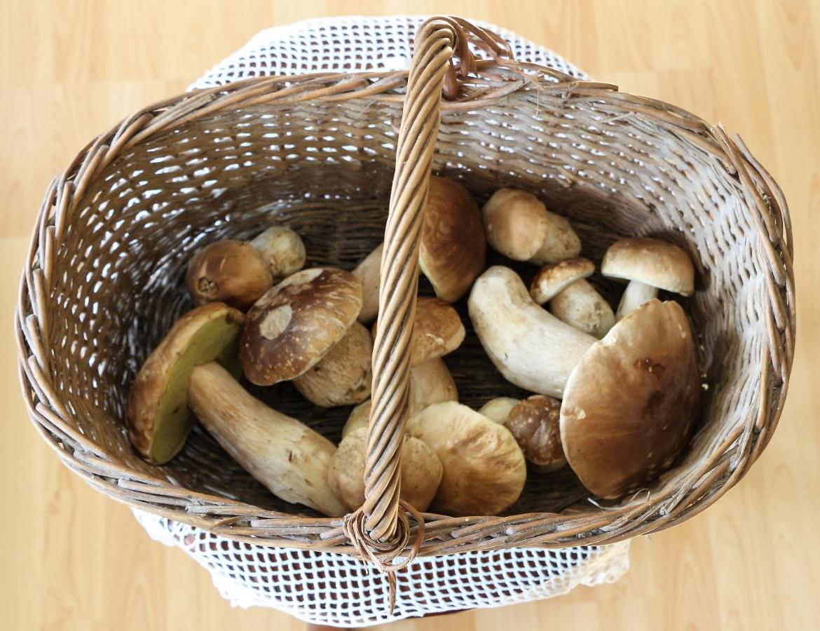 Apartmaji Nena Rocinj Kültér fotó